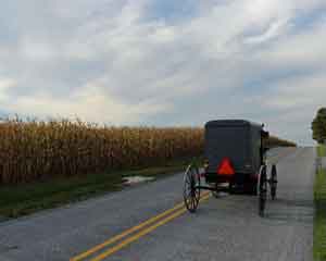 Amish country Lancaster PA Buggy Rides