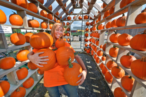 holding-pumpkins