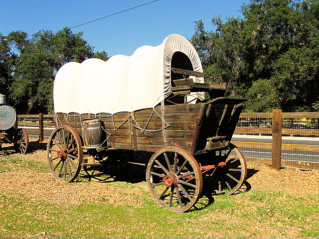 wagon